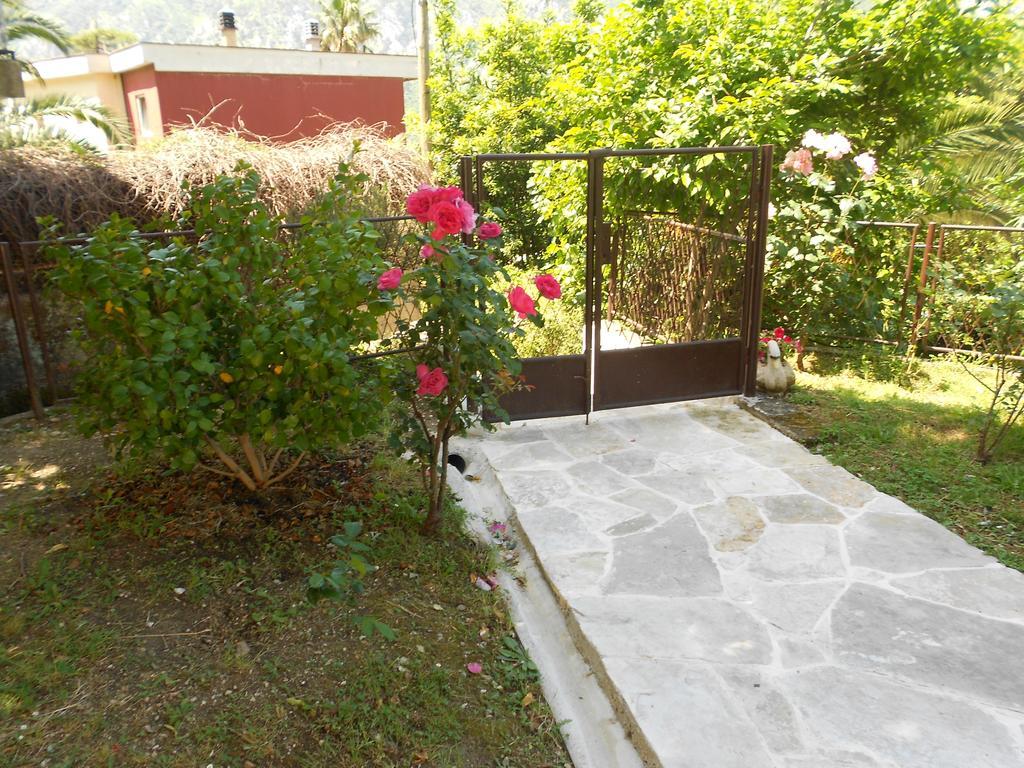 Apartments Samardzic Kotor Exterior foto